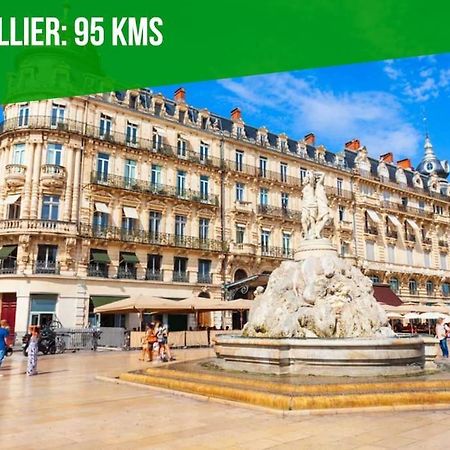 La Bulle - Parking Gratuit En Souterrain - 2 Mins Du Palais Des Papes - Clim Ac - Wifi Apartment Avignon Exterior photo